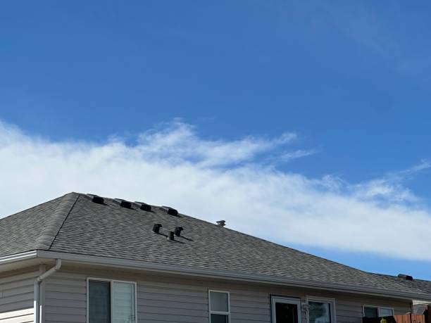 Best Commercial Roofing Services  in Sartell, MN